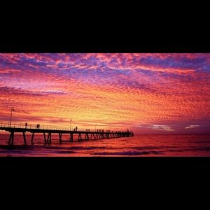 Meet your Posher, Omar